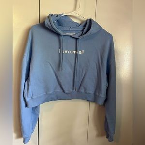 Call Her Daddy Cropped Hoodie